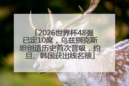2026世界杯48强已定10席，乌兹别克斯坦创造历史首次晋级，约旦、韩国获出线名额