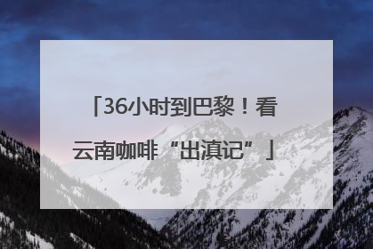 36小时到巴黎！看云南咖啡“出滇记”