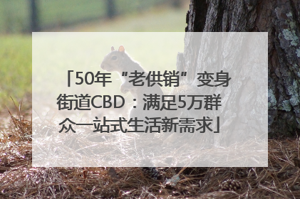 50年“老供销”变身街道CBD：满足5万群众一站式生活新需求