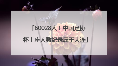 60028人！中国足协杯上座人数纪录属于大连