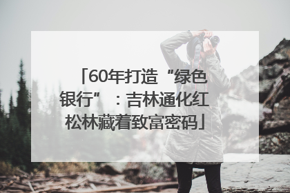 60年打造“绿色银行”：吉林通化红松林藏着致富密码