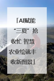 AI赋能“三夏”抢收忙 智慧农业绘就丰收新图景