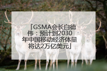 GSMA会长白德伟：预计到2030年中国移动经济体量将达2万亿美元