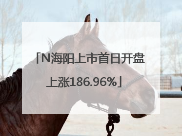 N海阳上市首日开盘上涨186.96%