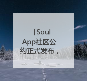 Soul App社区公约正式发布，打造年轻人社交乌托邦