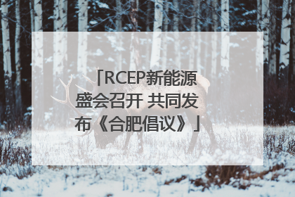 RCEP新能源盛会召开 共同发布《合肥倡议》