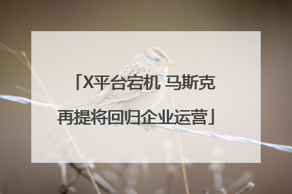 X平台宕机 马斯克再提将回归企业运营